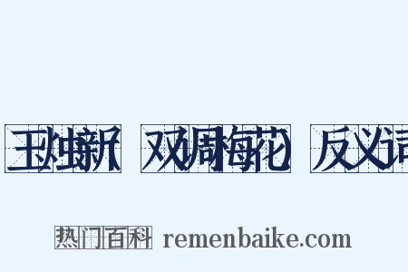 玉烛新(双调梅花)反义词是什么意思的图片